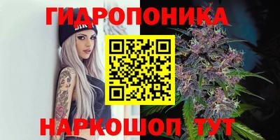 амф Балахна