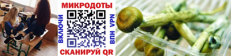Псилоцибиновые грибы Psilocybe  сайты даркнета официальный сайт  Березники  закладка 