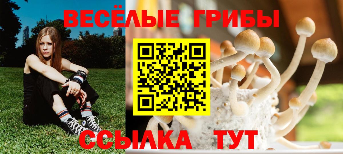 Березники  Галлюциногенные грибы MAGIC MUSHROOMS  Галлюциногенные грибы GOLDEN TEACHER  Вход с VPN 