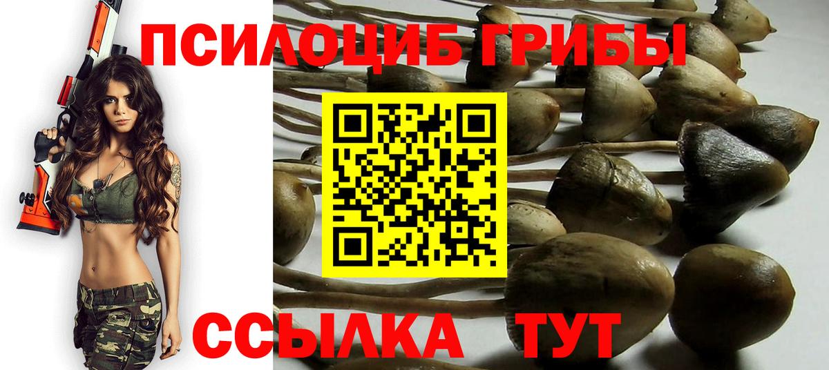 Псилоцибиновые грибы мухоморы  Березники 