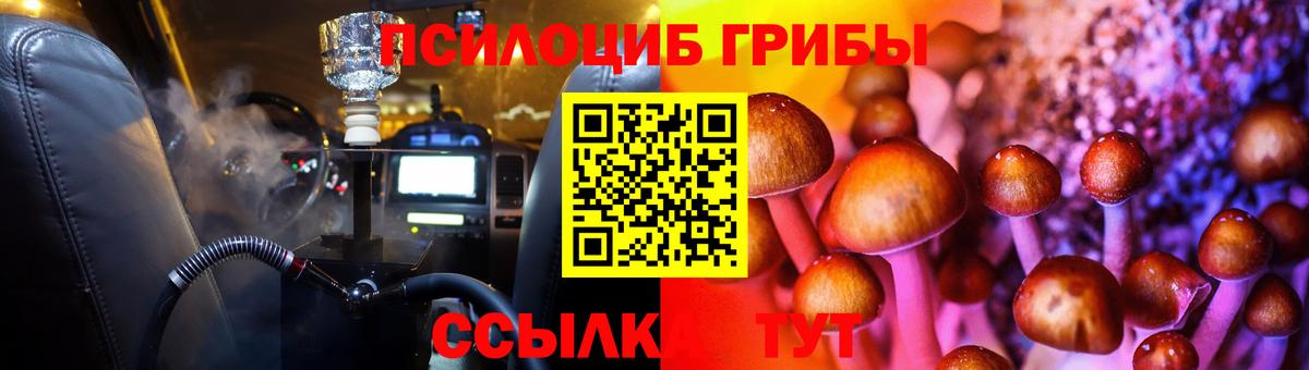 Псилоцибиновые грибы Psilocybine cubensis Березники